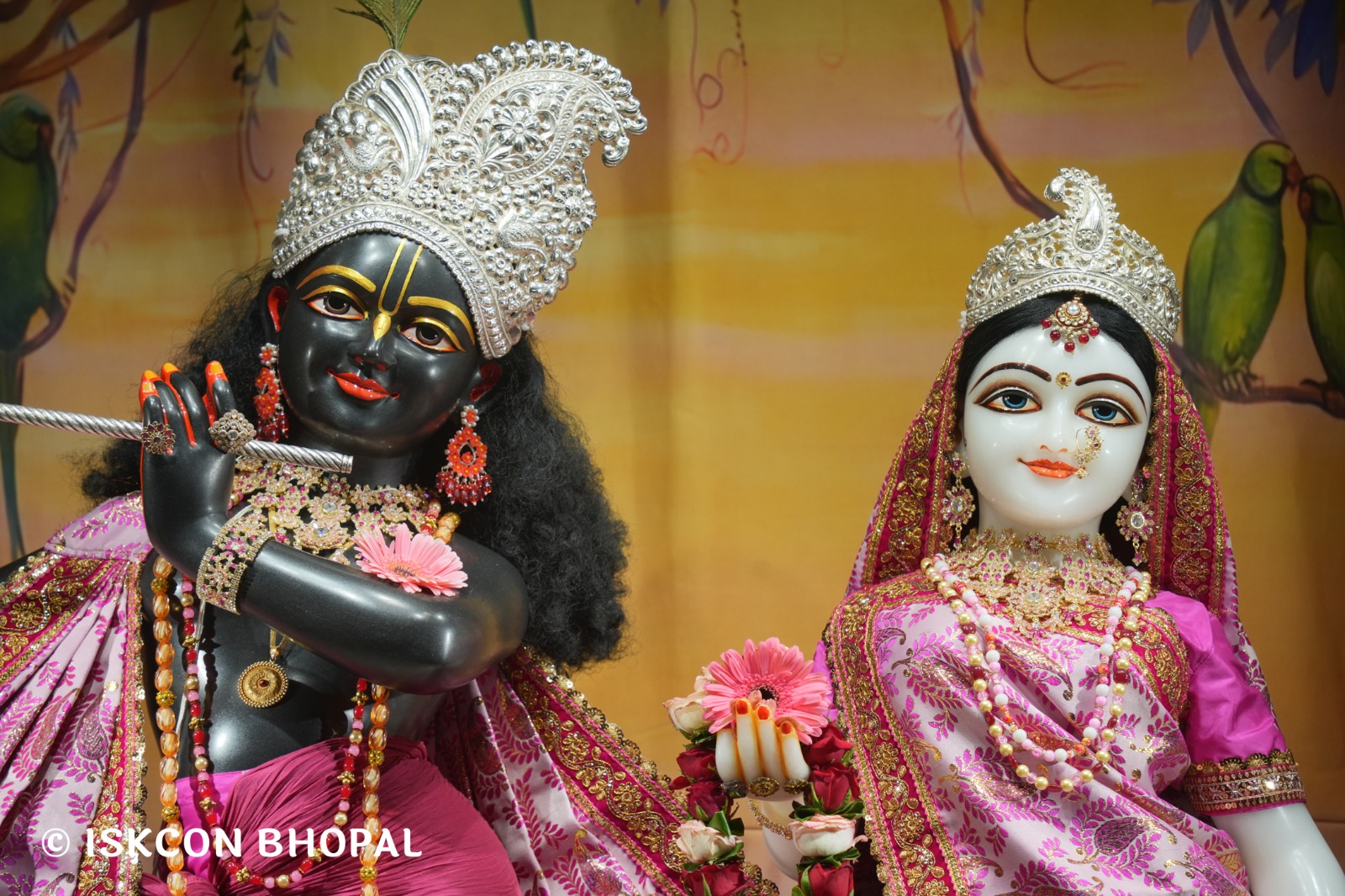 WhatsApp Image 2026-04-10 at 07.56.58