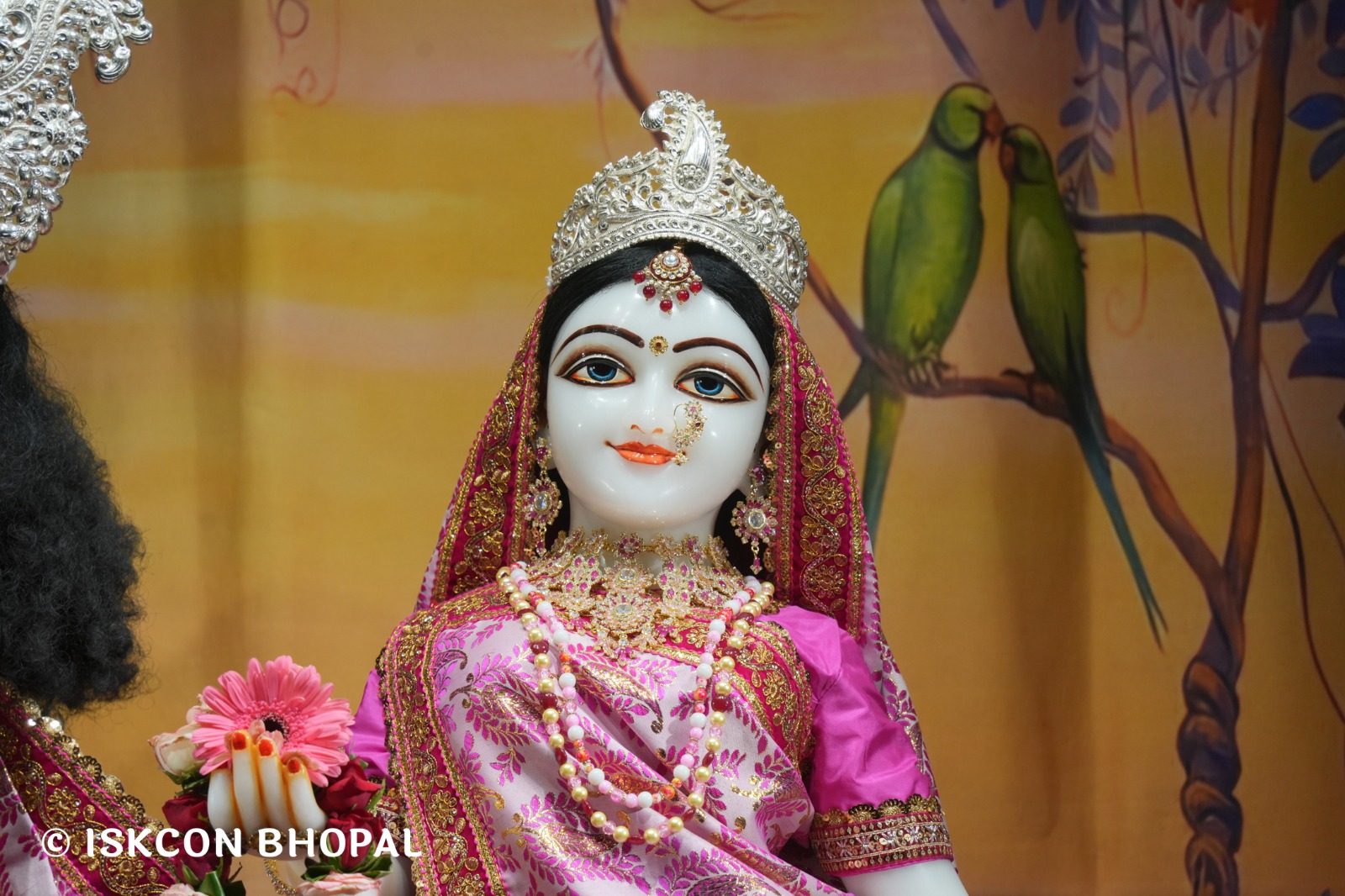 WhatsApp Image 2026-04-10 at 07.57.01