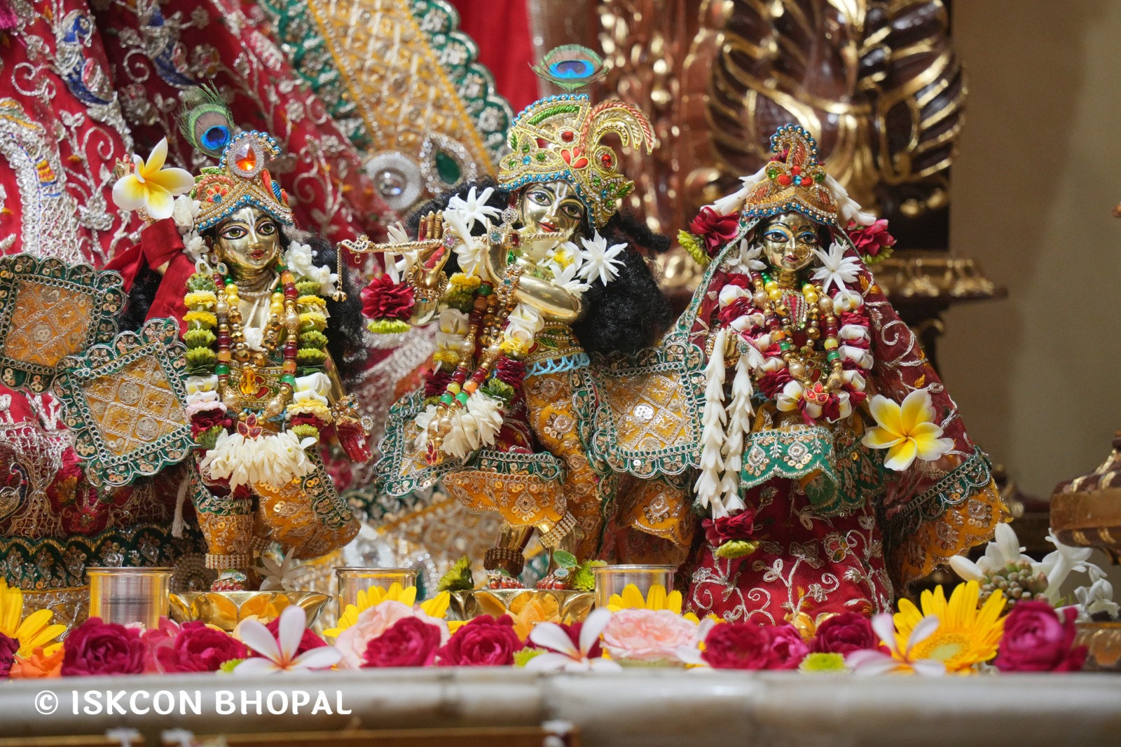 WhatsApp Image 2026-04-10 at 07.59.55