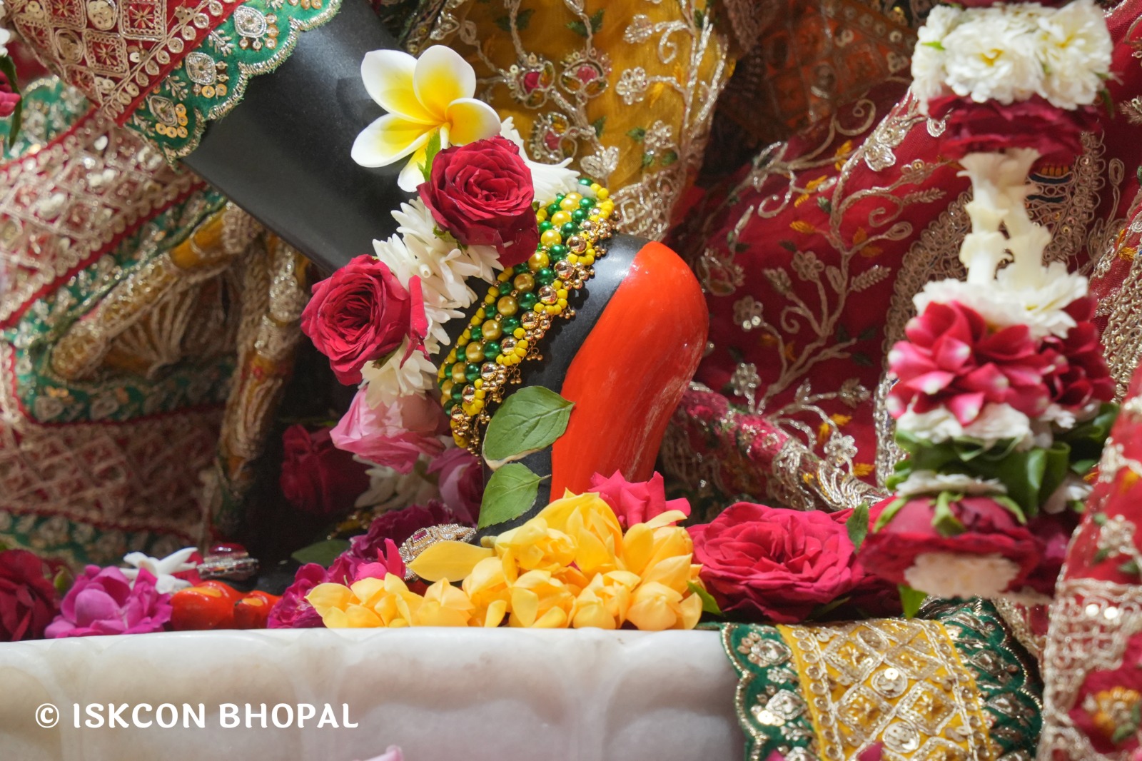 WhatsApp Image 2026-04-10 at 08.00.01