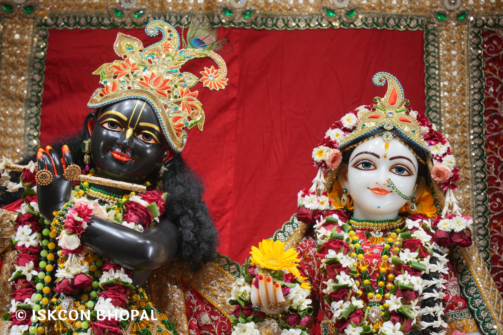 WhatsApp Image 2026-04-10 at 08.00.11