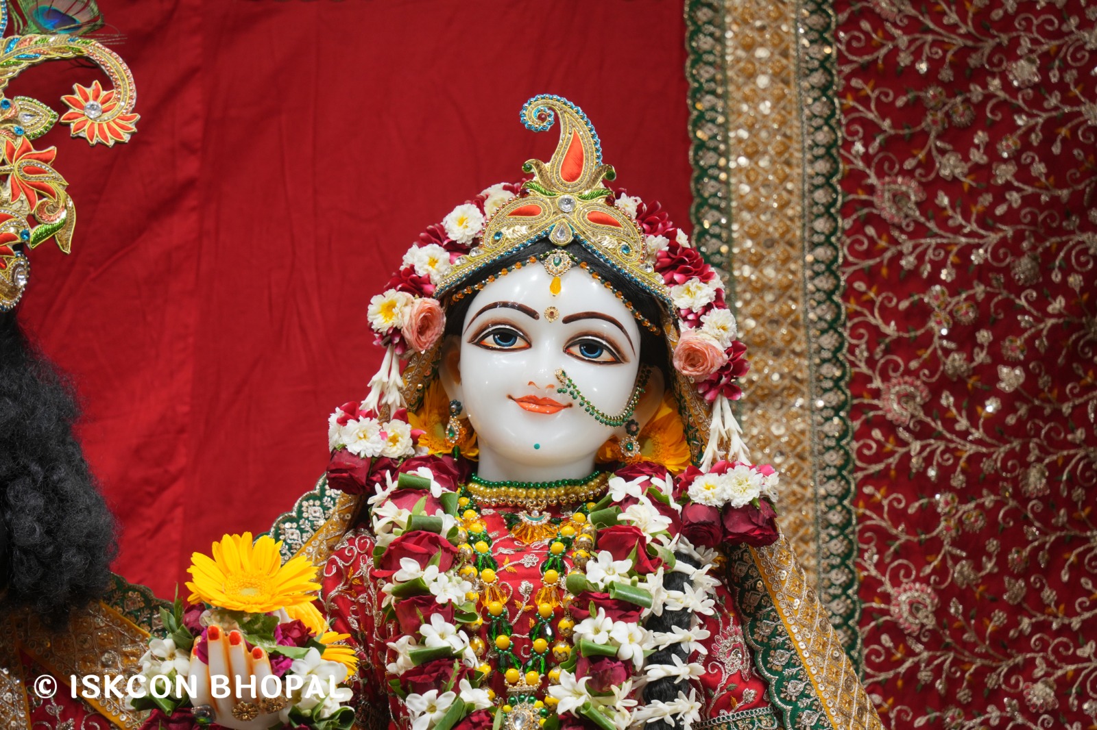 WhatsApp Image 2026-04-10 at 08.00.14