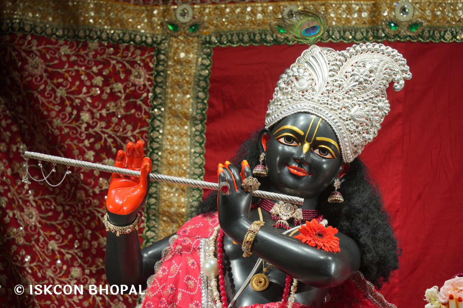 WhatsApp Image 2026-04-11 at 08.27.06