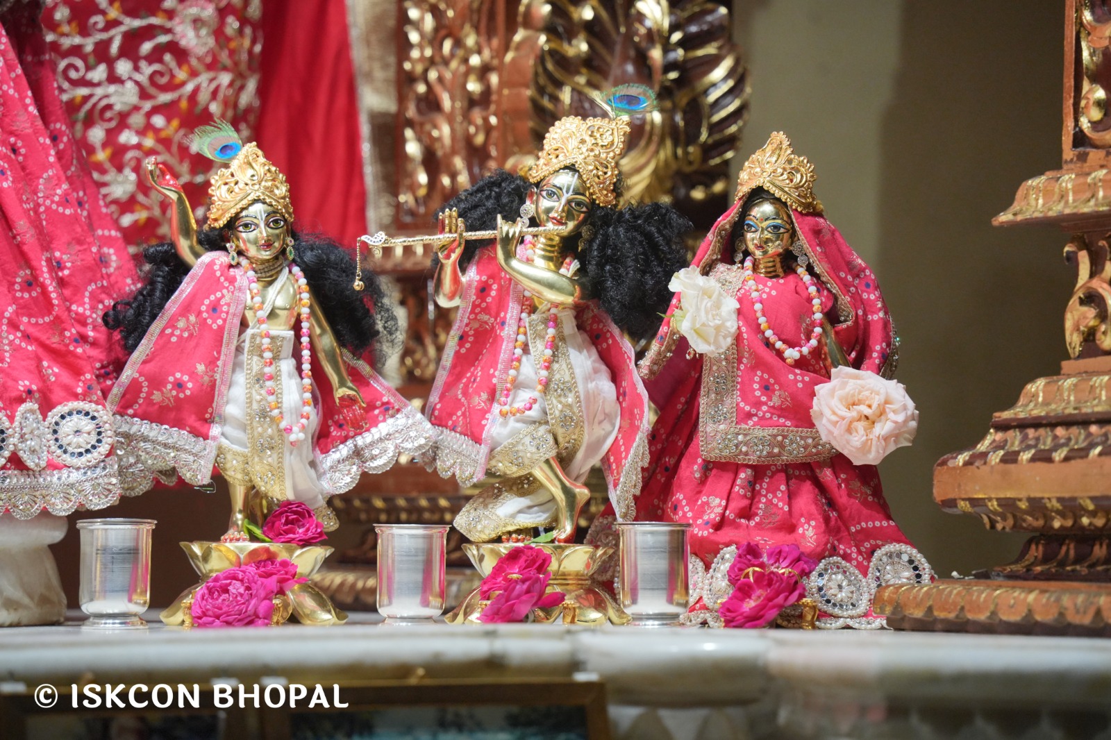 WhatsApp Image 2026-04-11 at 08.27.08