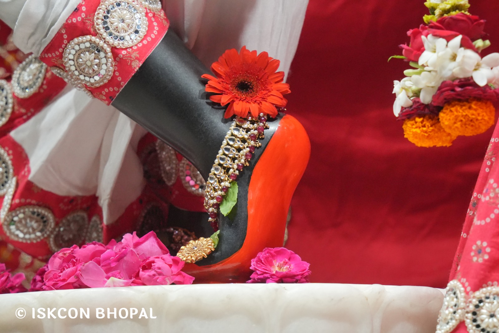 WhatsApp Image 2026-04-11 at 08.27.15