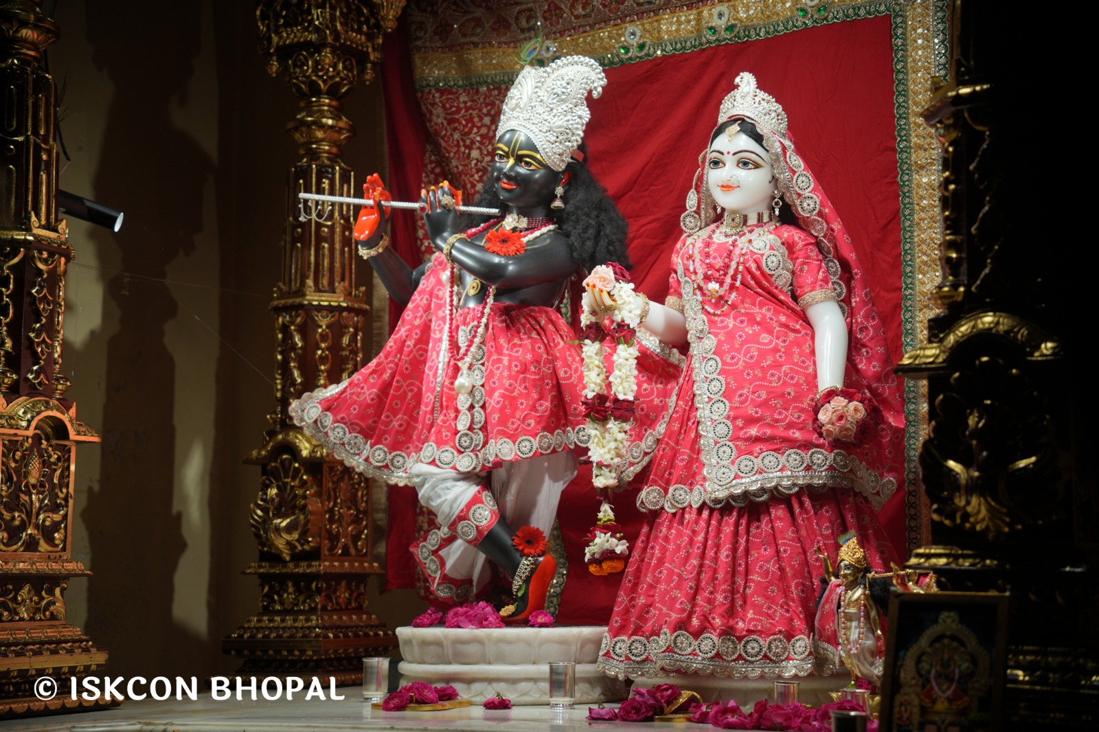 WhatsApp Image 2026-04-11 at 08.27.24