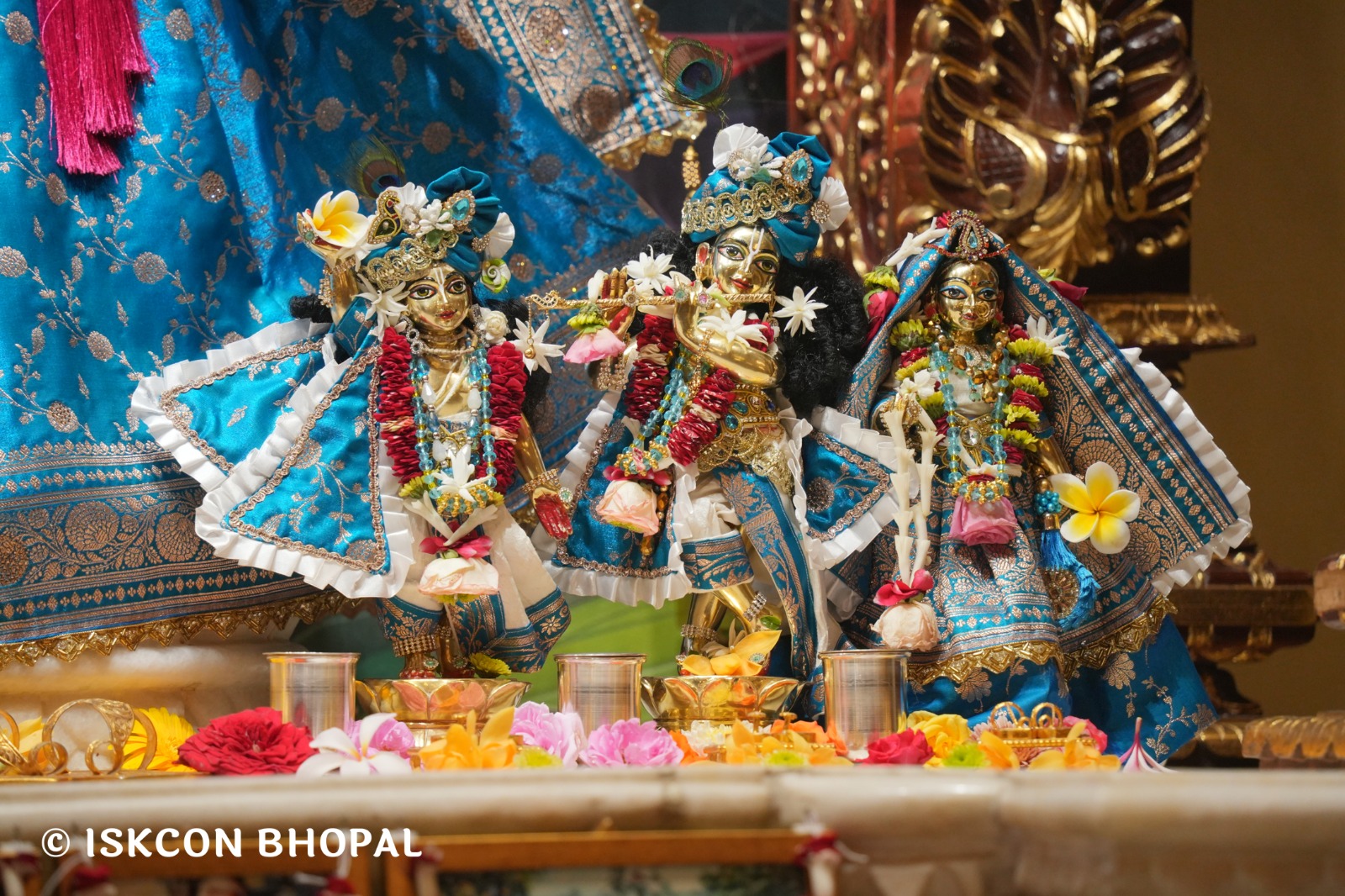 WhatsApp Image 2026-04-11 at 08.28.38