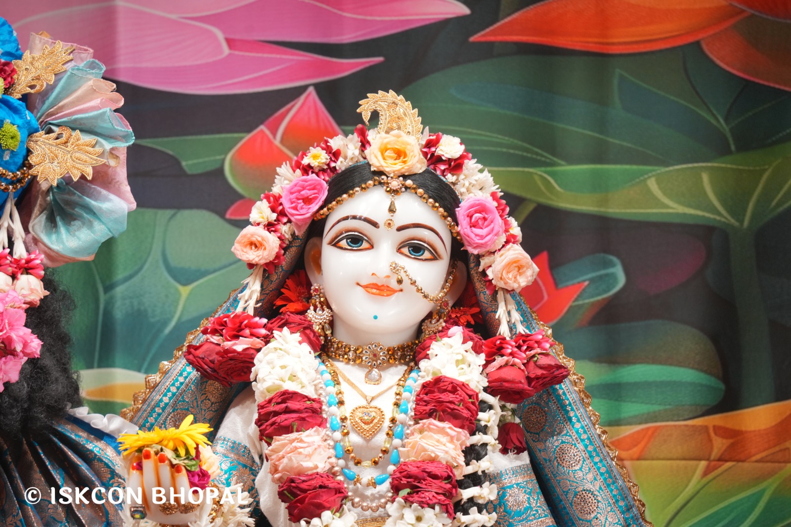 WhatsApp Image 2026-04-11 at 08.28.41