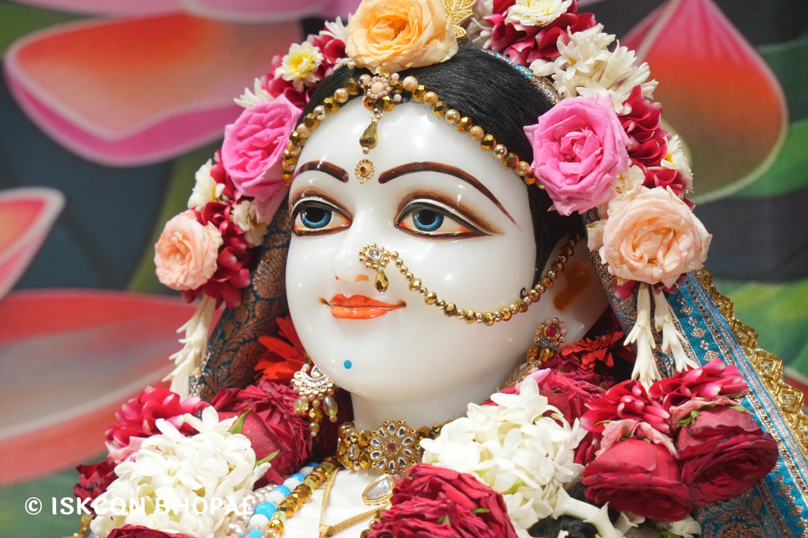 WhatsApp Image 2026-04-11 at 08.28.46