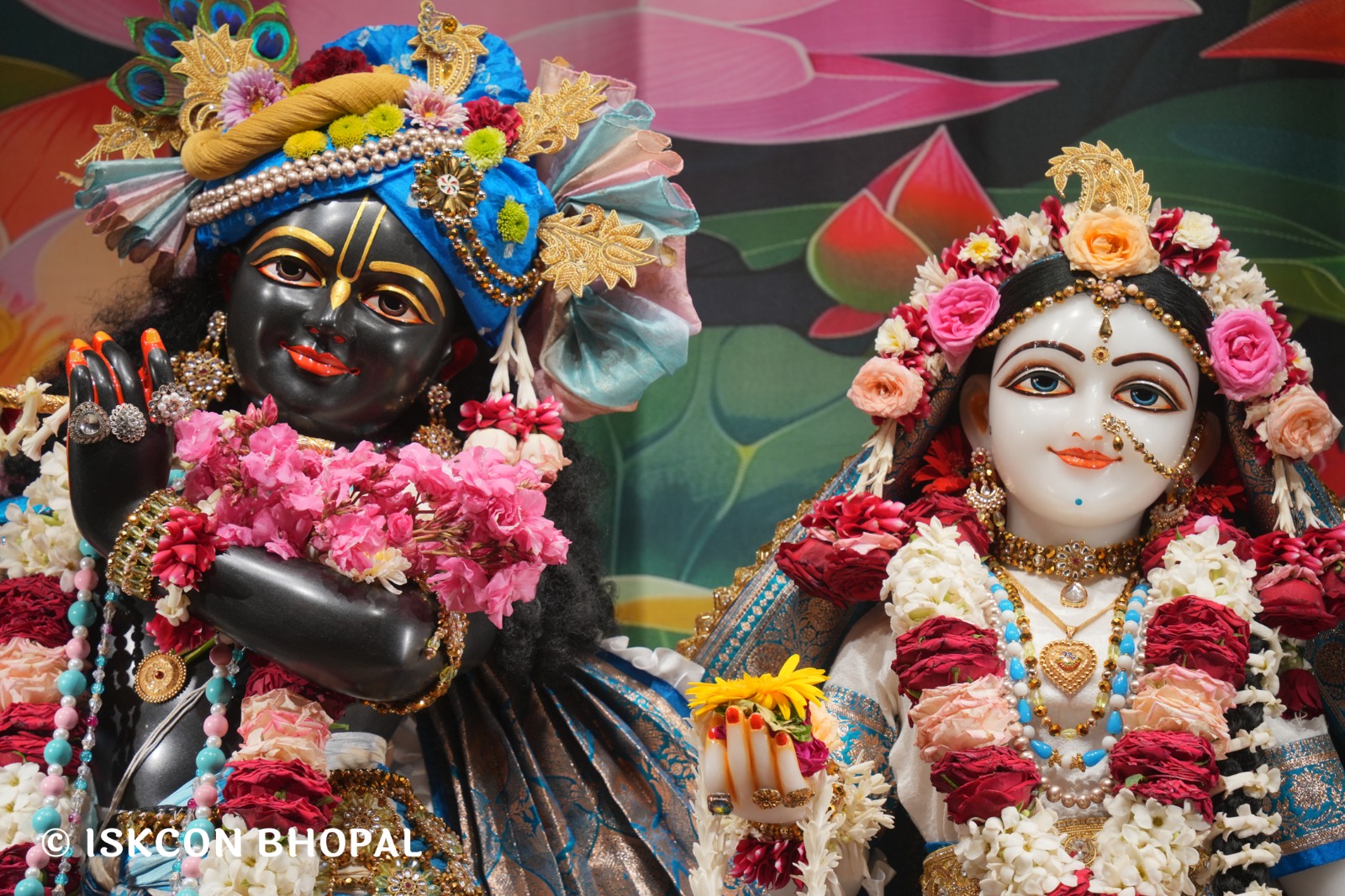 WhatsApp Image 2026-04-11 at 08.28.54