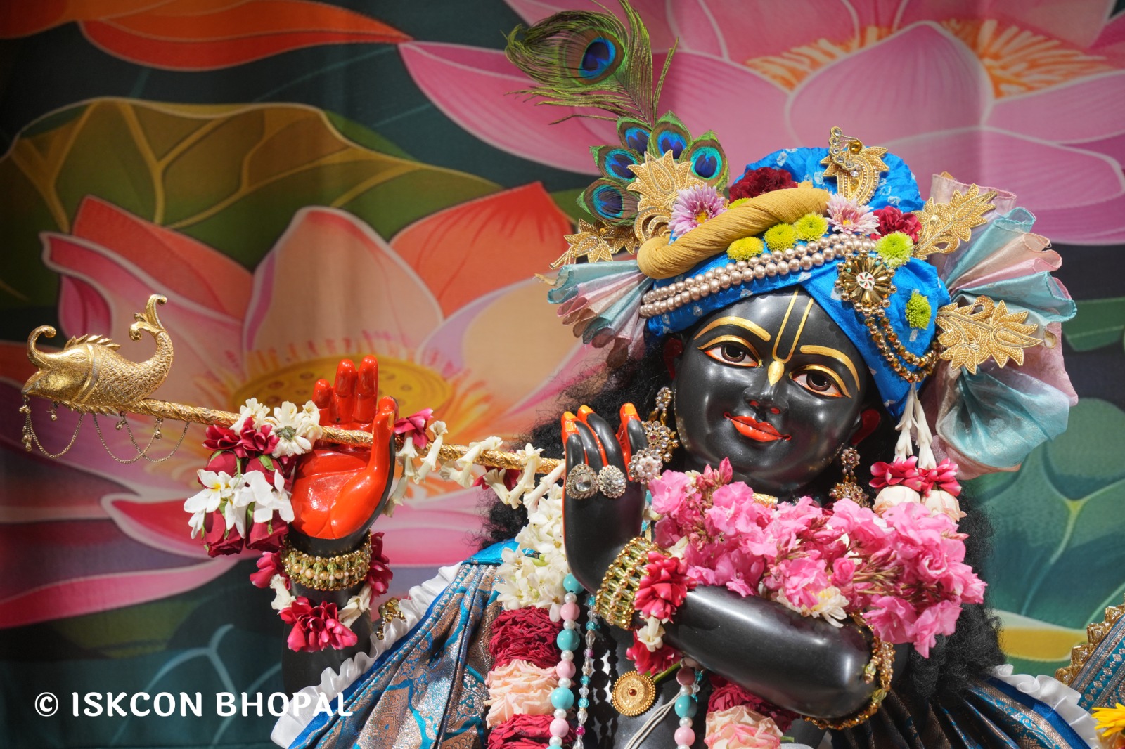 WhatsApp Image 2026-04-11 at 08.28.57