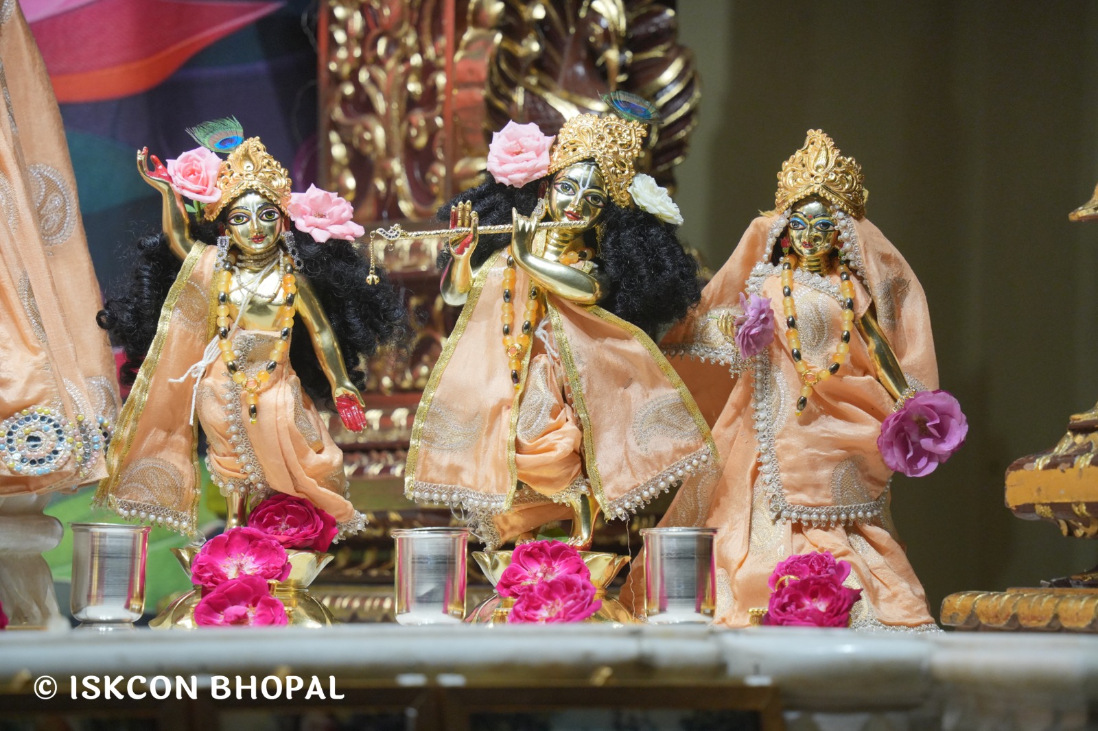 WhatsApp Image 2026-04-12 at 08.34.14