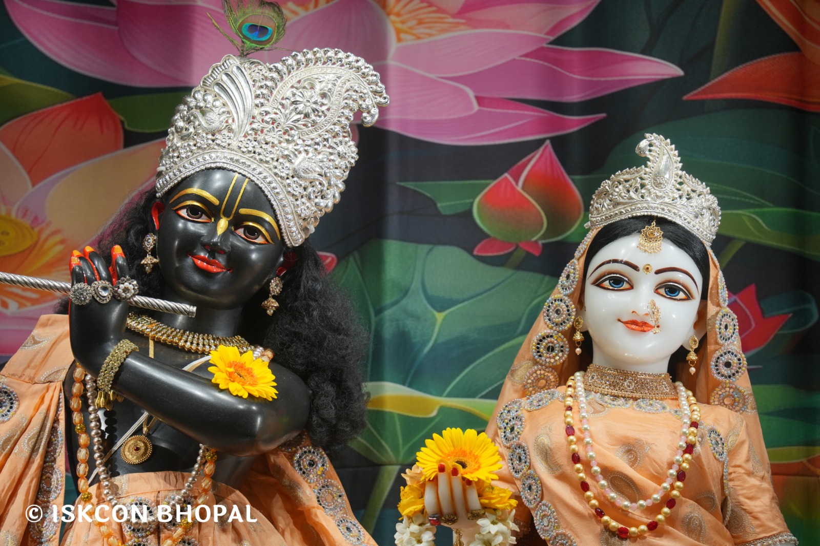 WhatsApp Image 2026-04-12 at 08.34.15