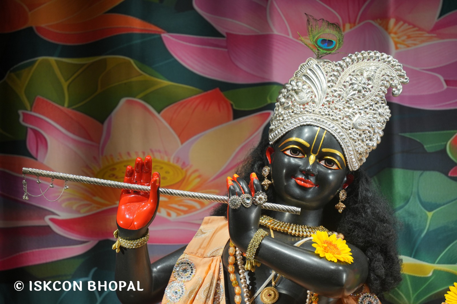 WhatsApp Image 2026-04-12 at 08.34.30