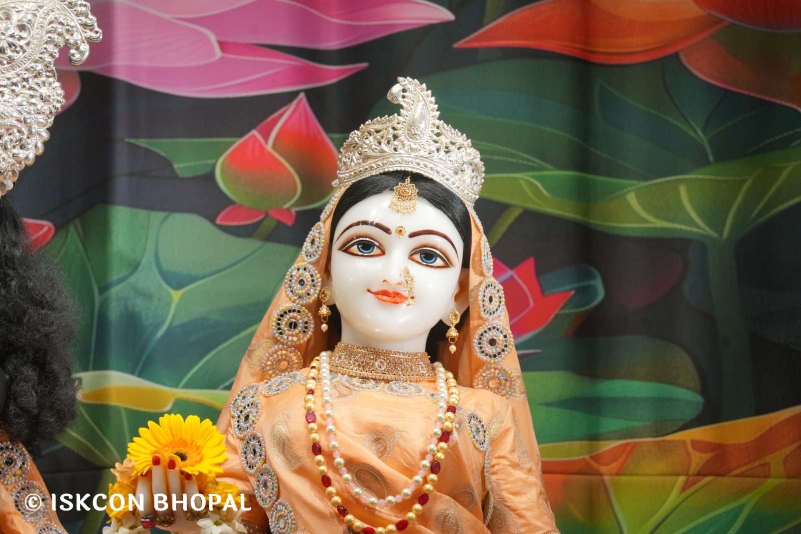 WhatsApp Image 2026-04-12 at 08.34.32