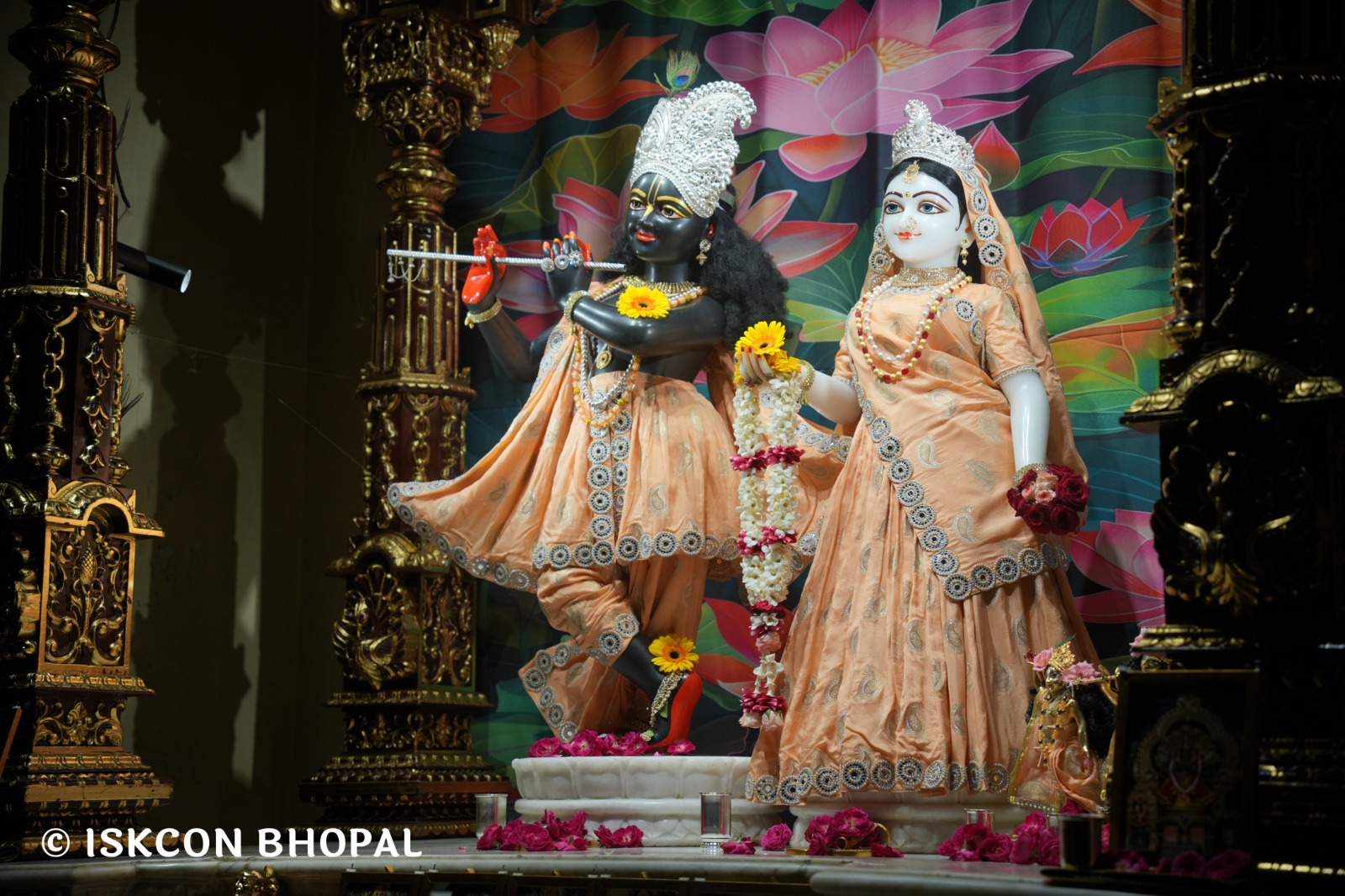 WhatsApp Image 2026-04-12 at 08.34.56