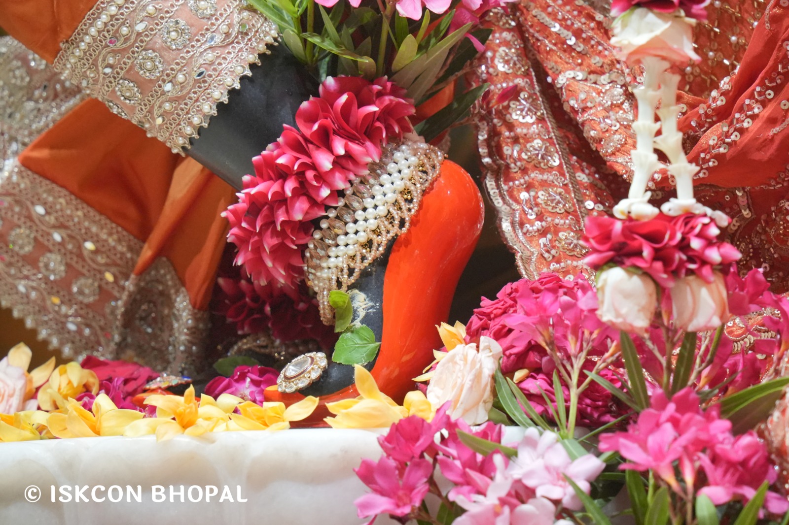 WhatsApp Image 2026-04-12 at 08.35.58