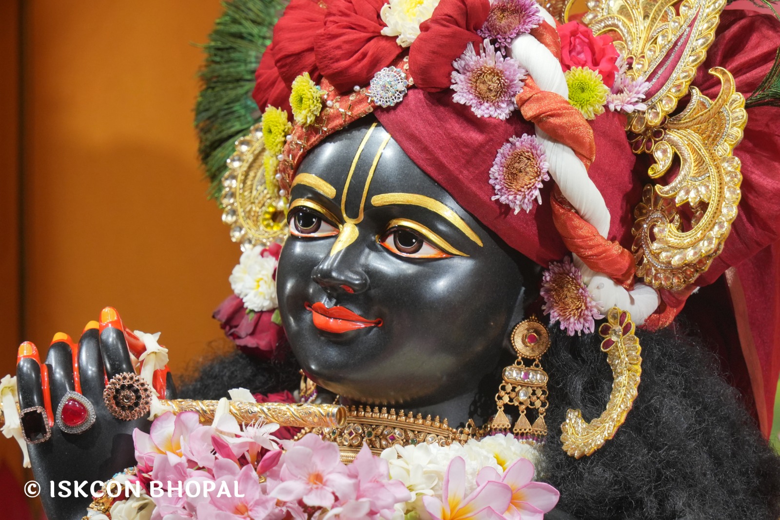 WhatsApp Image 2026-04-12 at 08.36.18