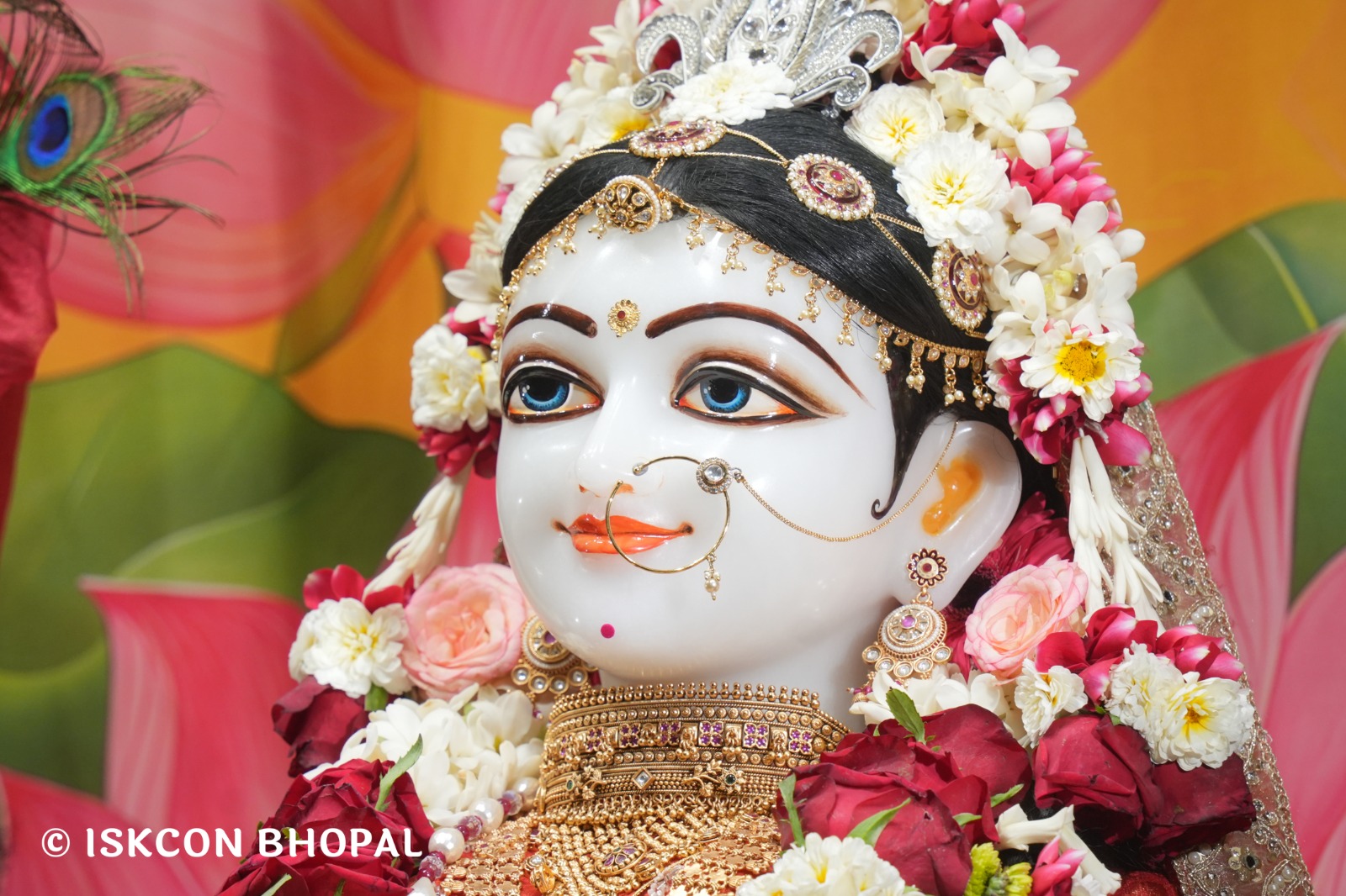 WhatsApp Image 2026-04-12 at 08.36.20