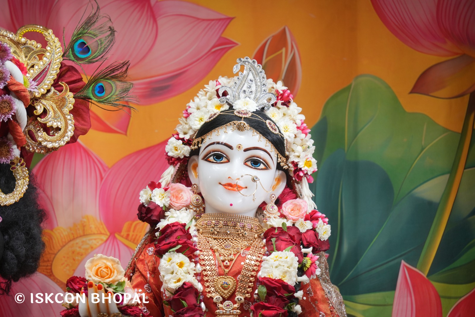 WhatsApp Image 2026-04-12 at 08.36.42