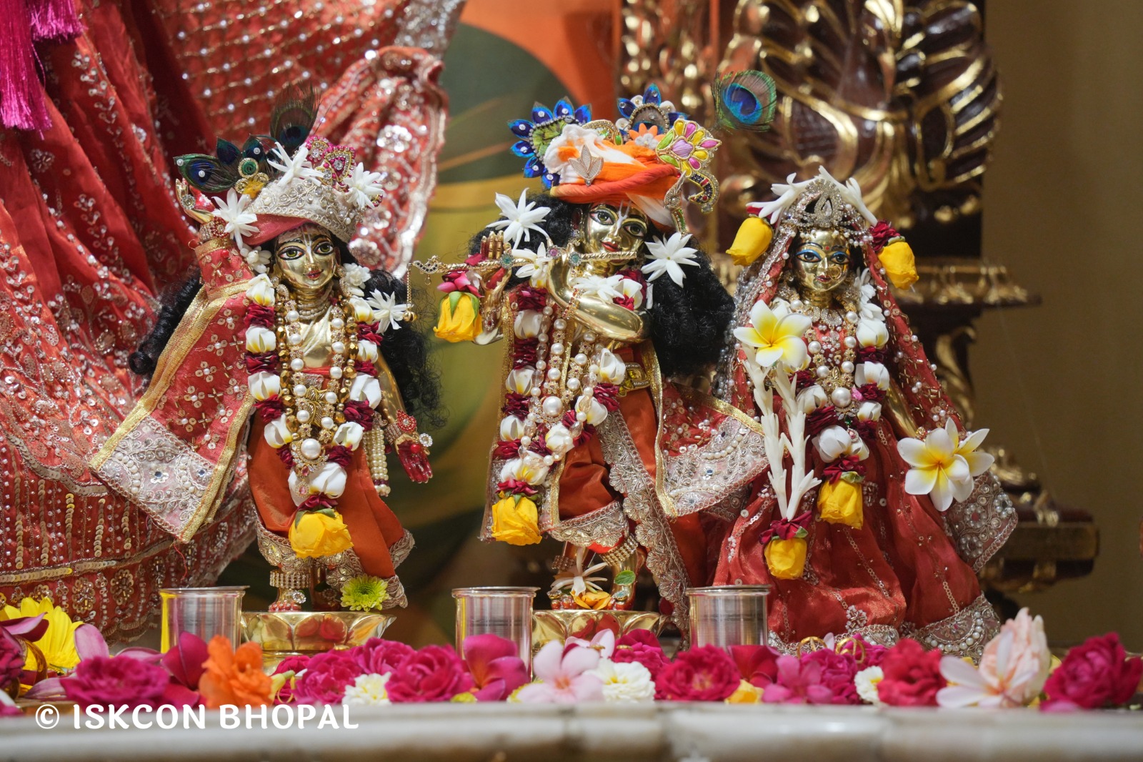 WhatsApp Image 2026-04-12 at 08.36.44