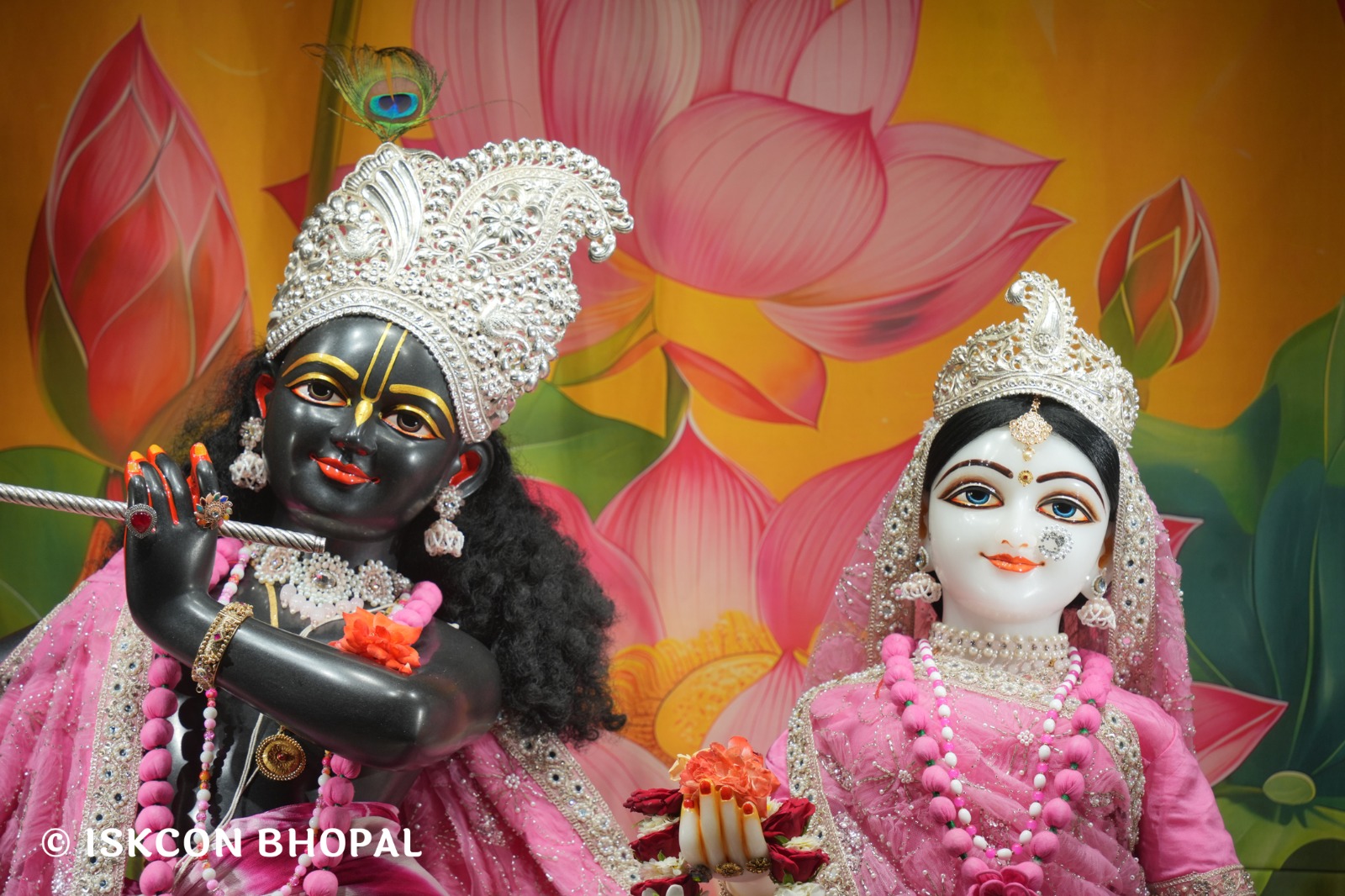 WhatsApp Image 2026-04-13 at 12.35.46