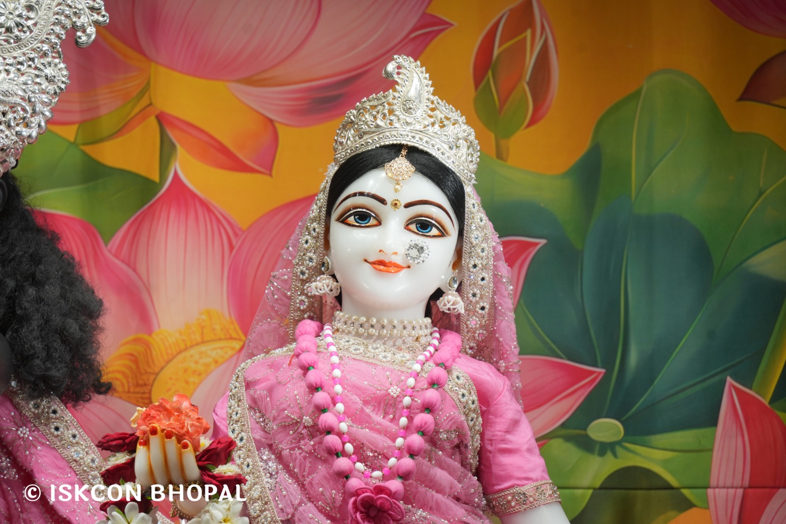 WhatsApp Image 2026-04-13 at 12.35.53