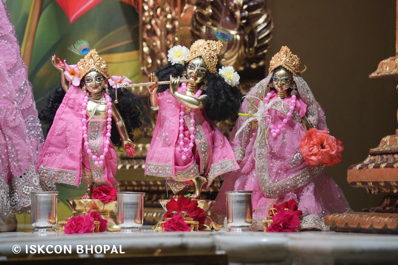 WhatsApp Image 2026-04-13 at 12.35.58