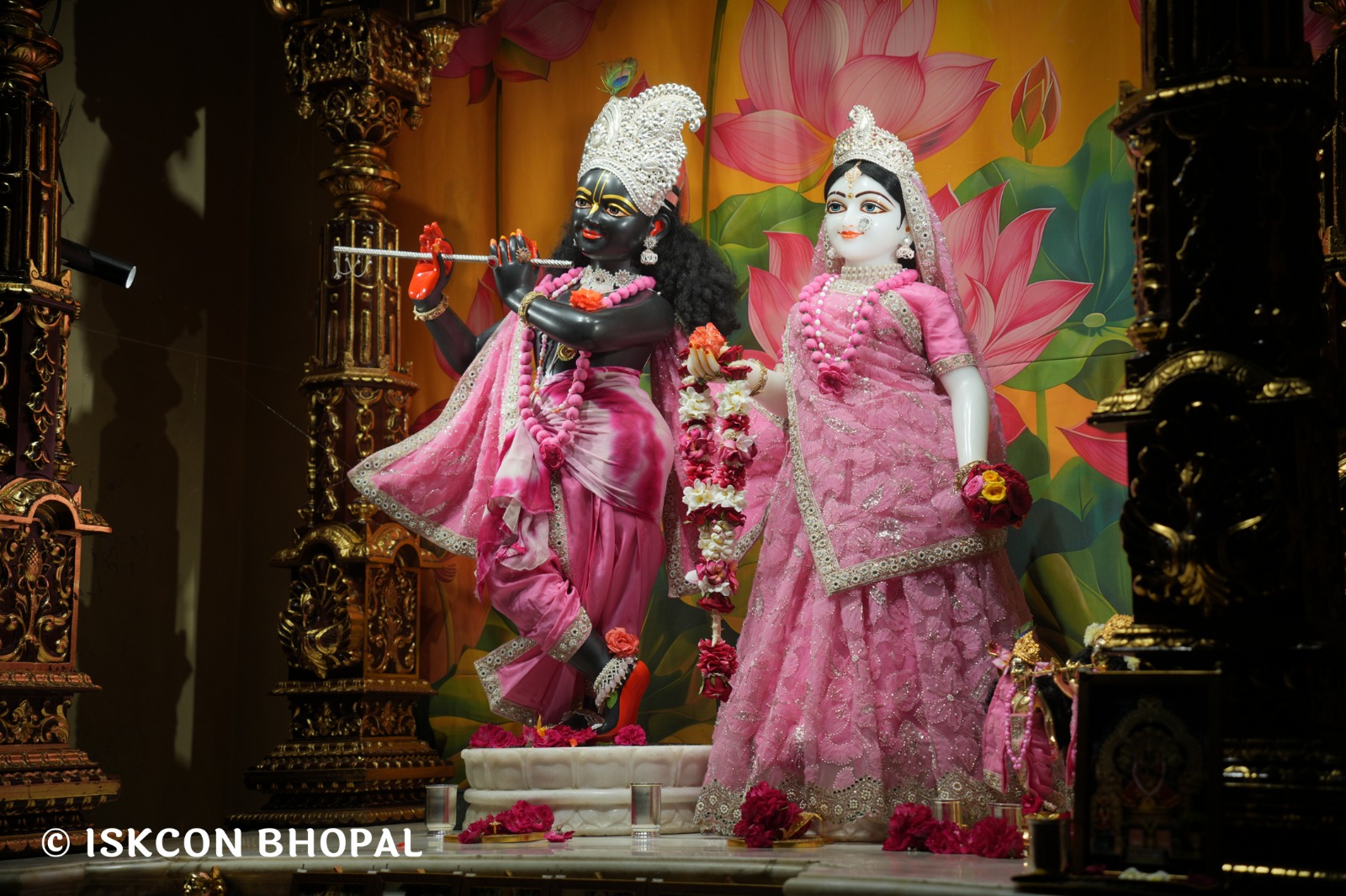 WhatsApp Image 2026-04-13 at 12.36.12