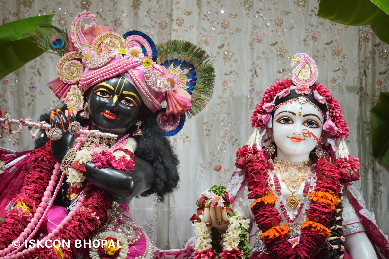 WhatsApp Image 2026-04-13 at 12.37.11