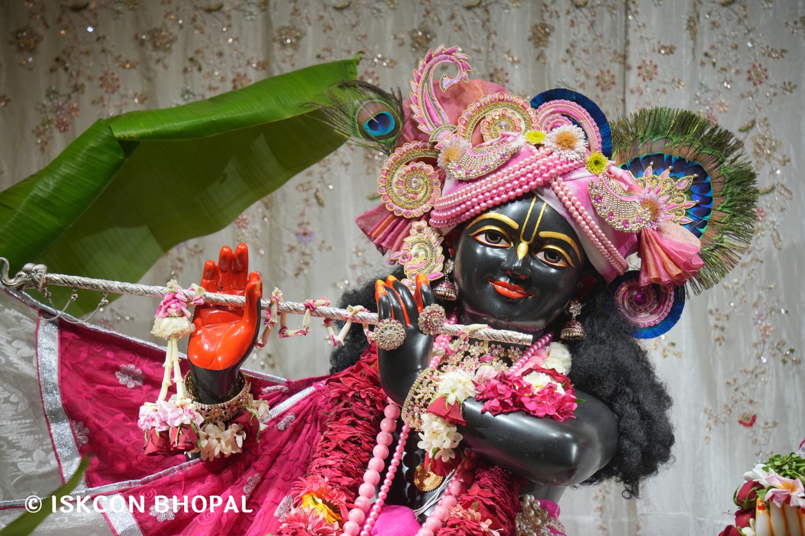 WhatsApp Image 2026-04-13 at 12.38.16