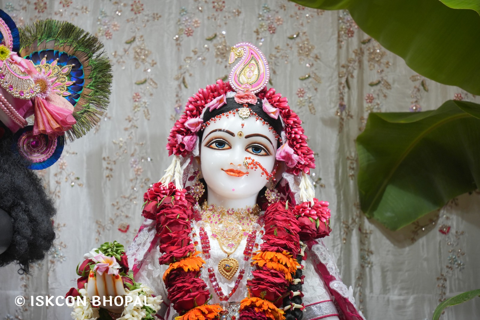 WhatsApp Image 2026-04-13 at 12.38.22