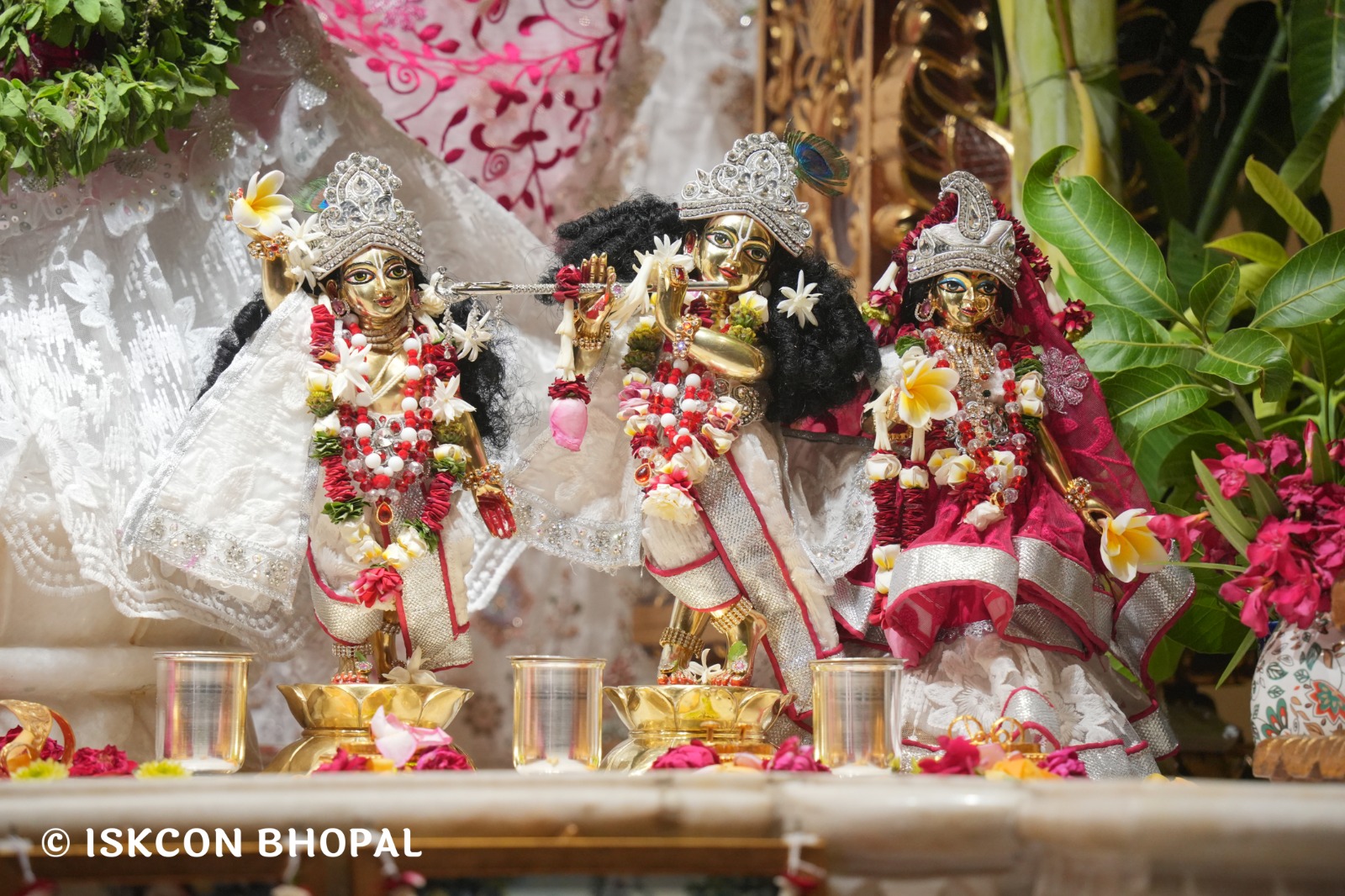 WhatsApp Image 2026-04-13 at 12.38.24