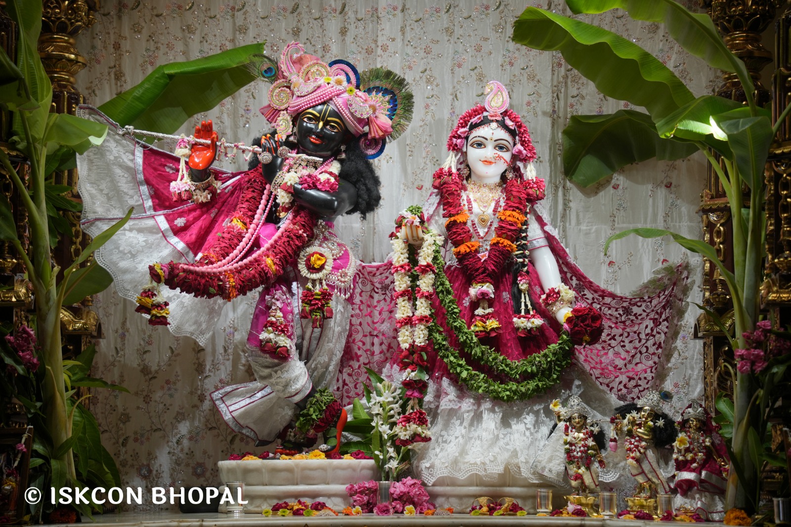 WhatsApp Image 2026-04-13 at 12.38.27