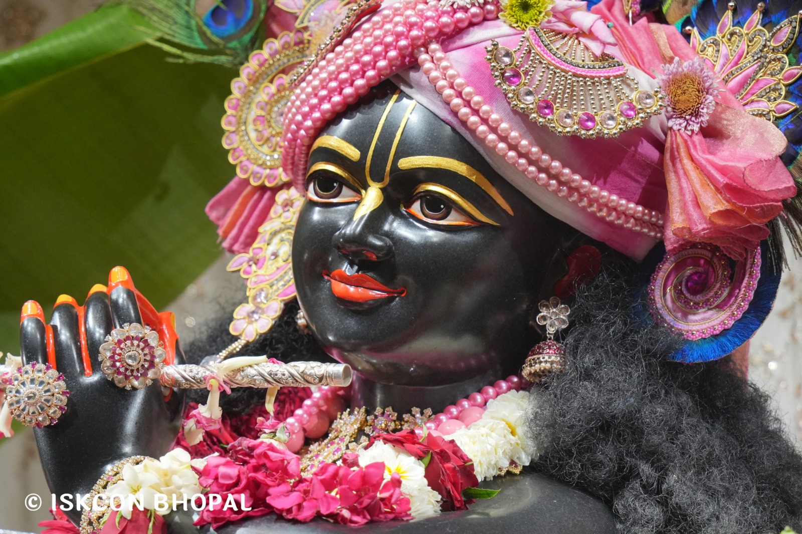 WhatsApp Image 2026-04-13 at 12.38.32