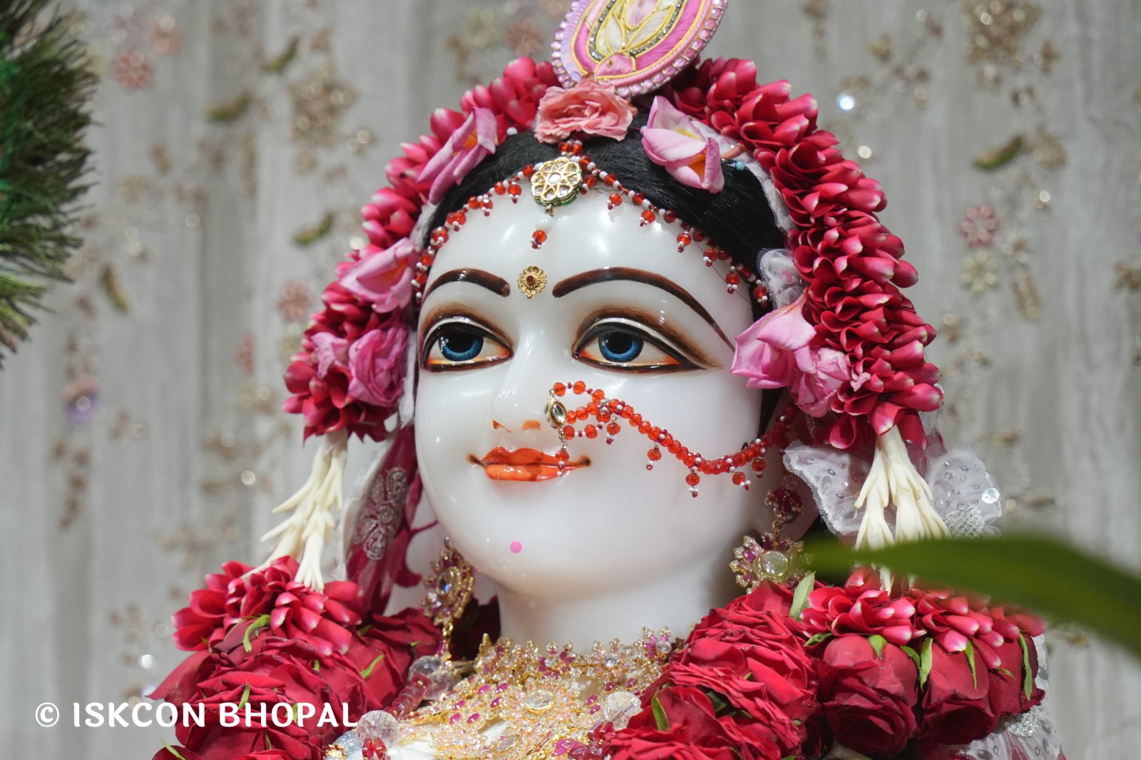 WhatsApp Image 2026-04-13 at 12.38.38