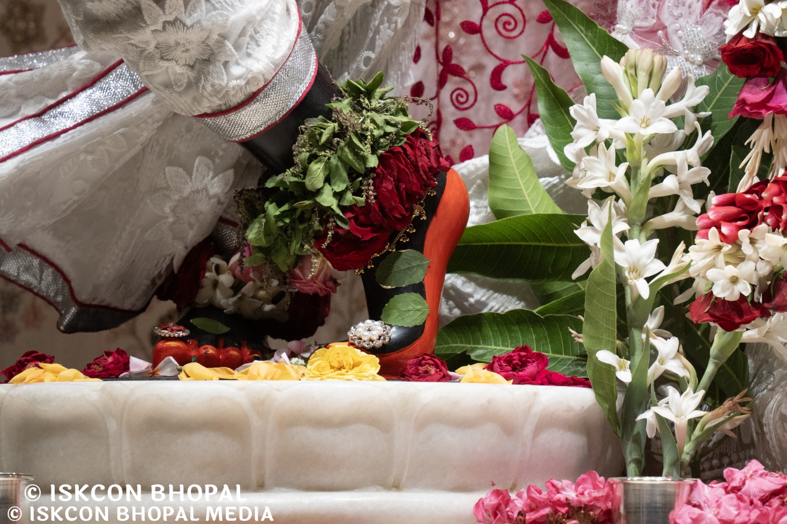 WhatsApp Image 2026-04-13 at 12.39.08