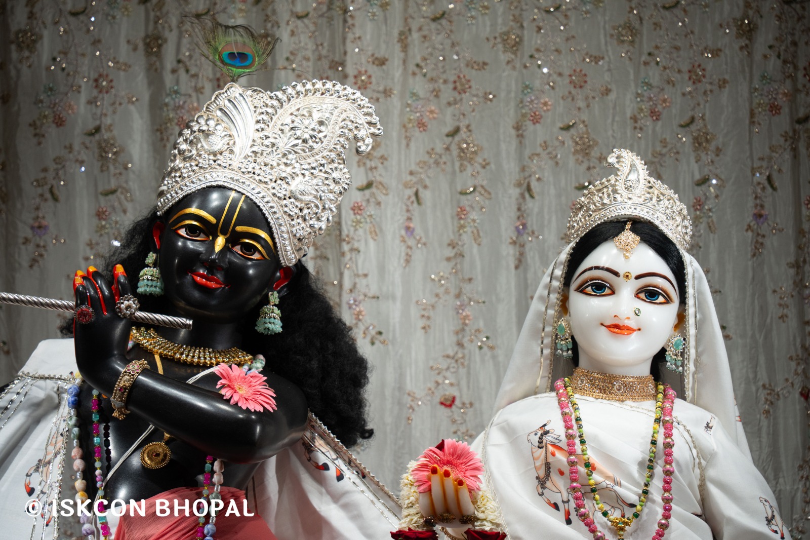 WhatsApp Image 2026-04-14 at 12.29.37