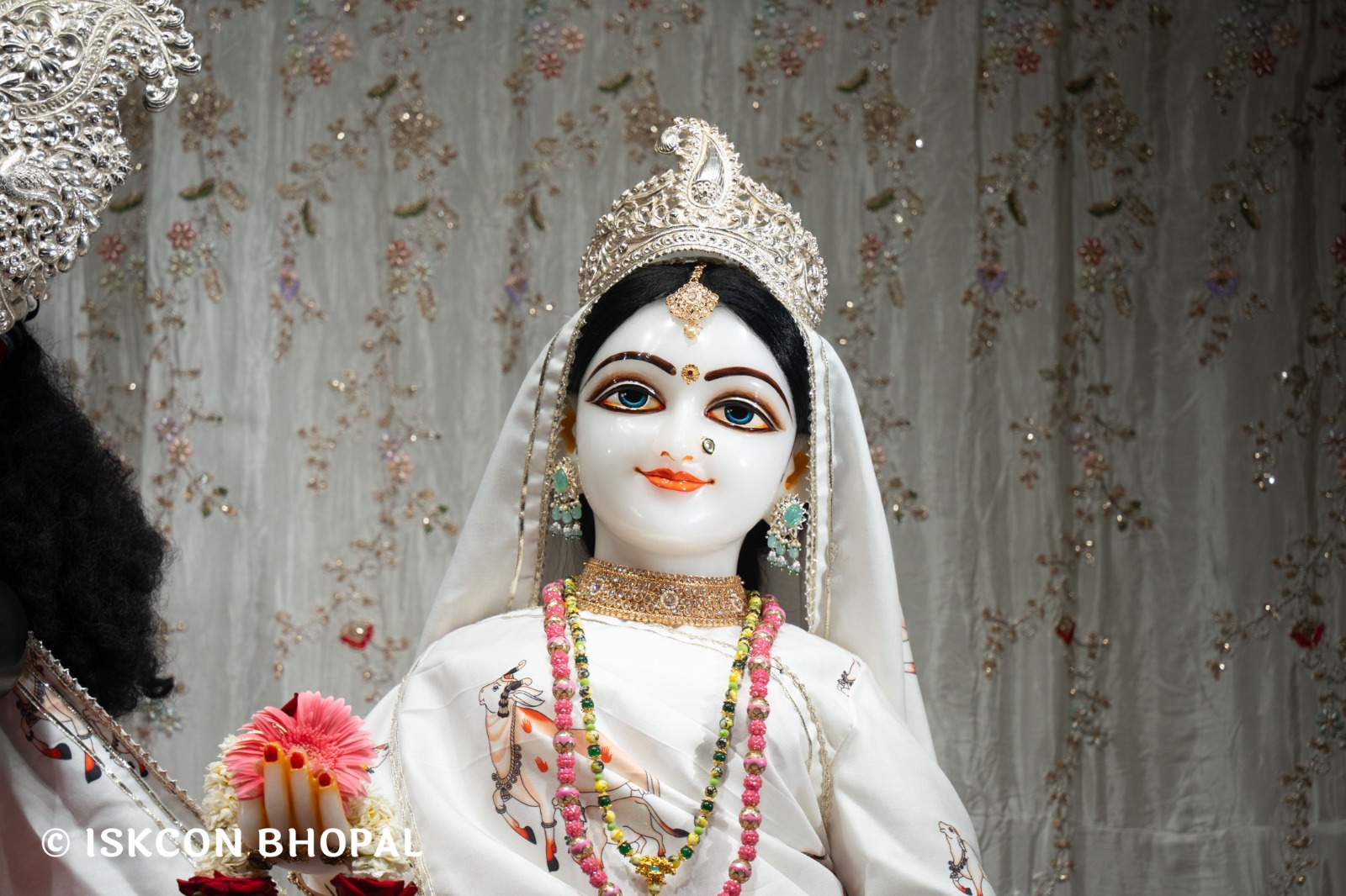 WhatsApp Image 2026-04-14 at 12.29.40