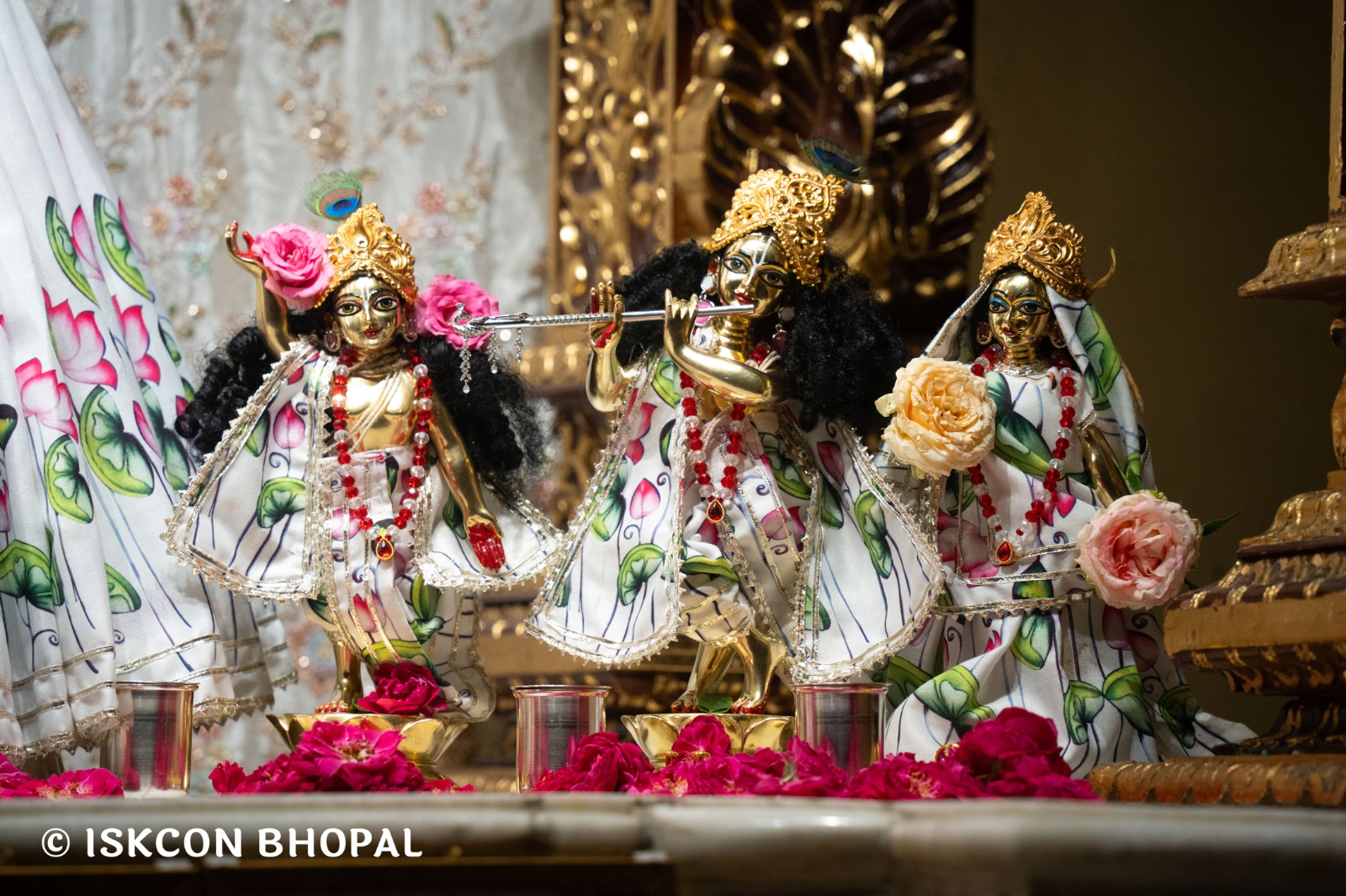 WhatsApp Image 2026-04-14 at 12.29.45