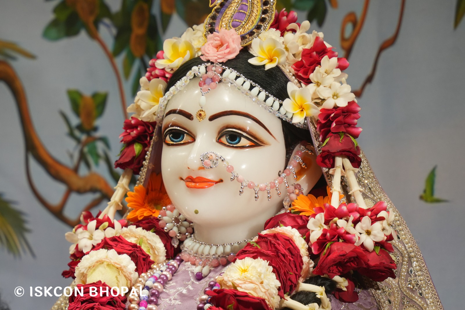 WhatsApp Image 2026-04-14 at 12.31.19