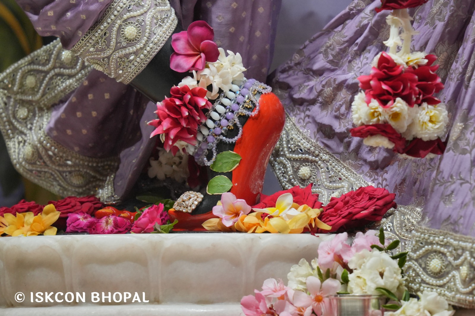 WhatsApp Image 2026-04-14 at 12.31.28