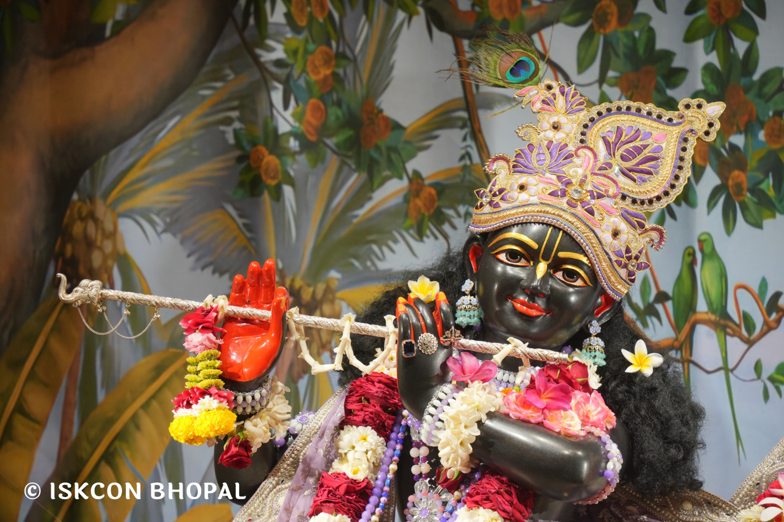 WhatsApp Image 2026-04-14 at 12.31.31