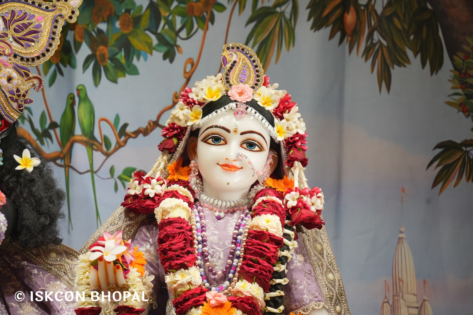 WhatsApp Image 2026-04-14 at 12.31.34