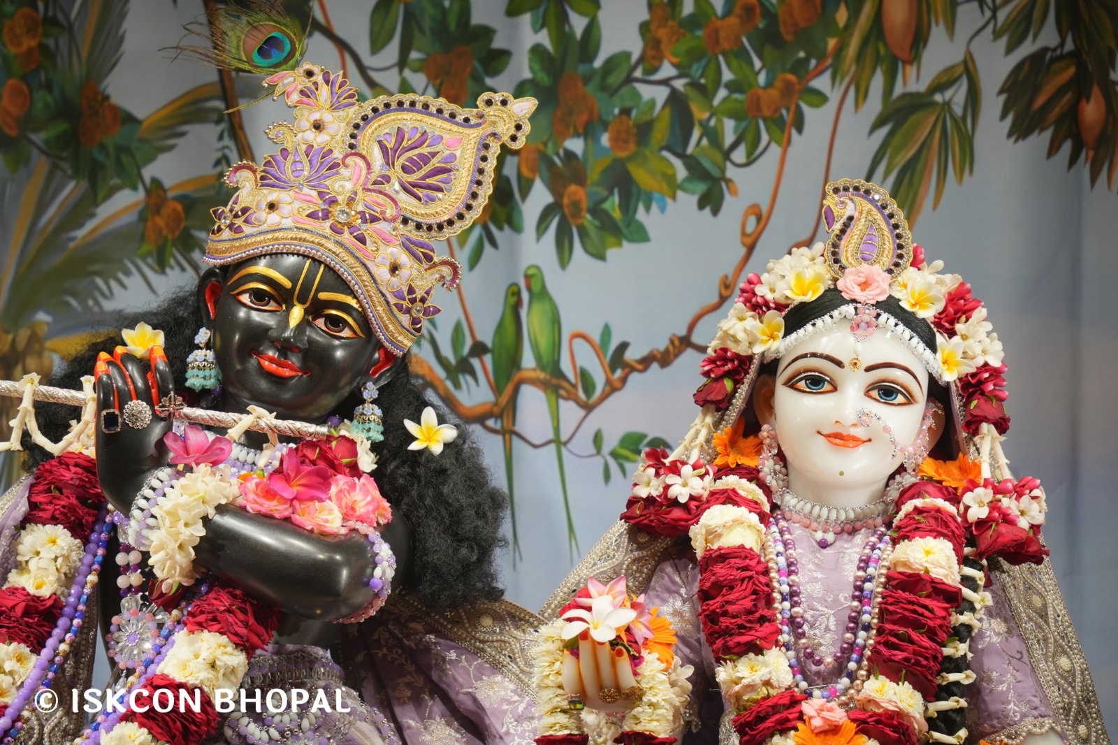 WhatsApp Image 2026-04-14 at 12.31.41