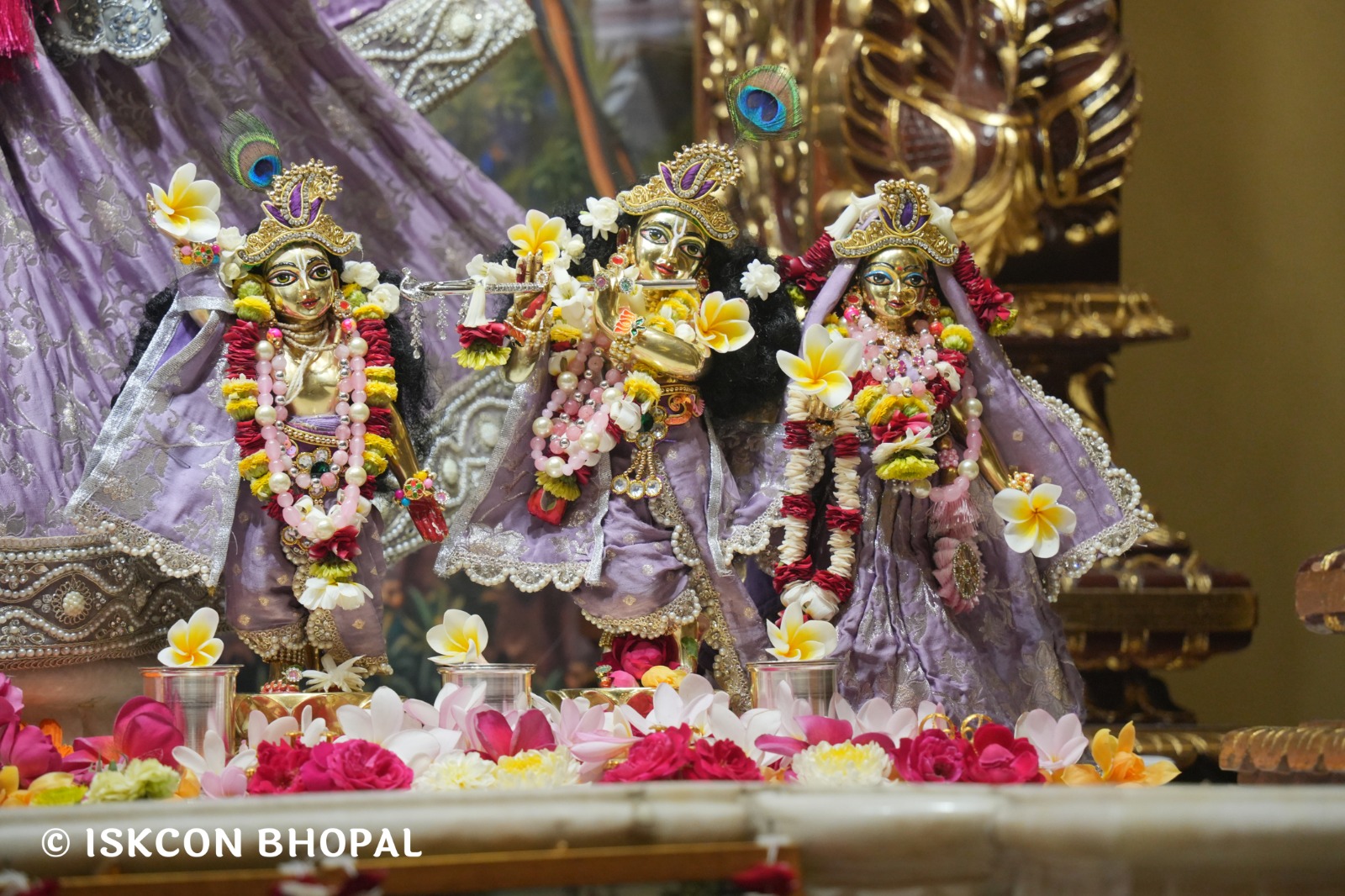 WhatsApp Image 2026-04-14 at 12.31.43