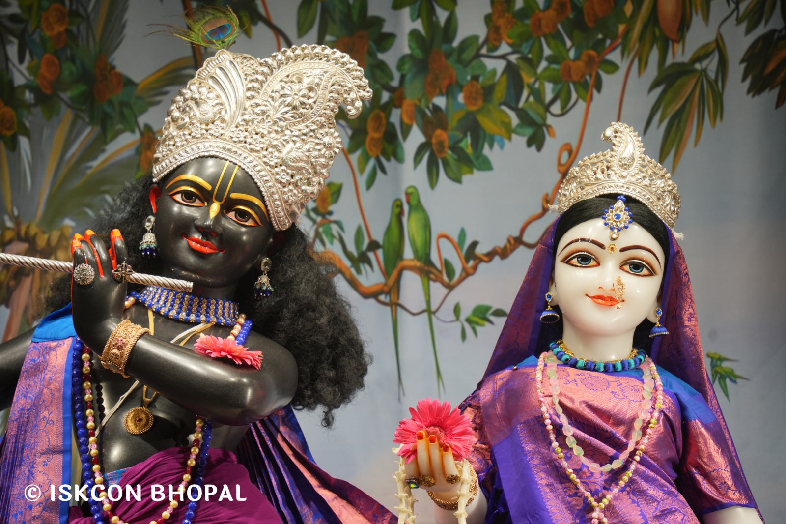 WhatsApp Image 2026-04-15 at 08.00.30