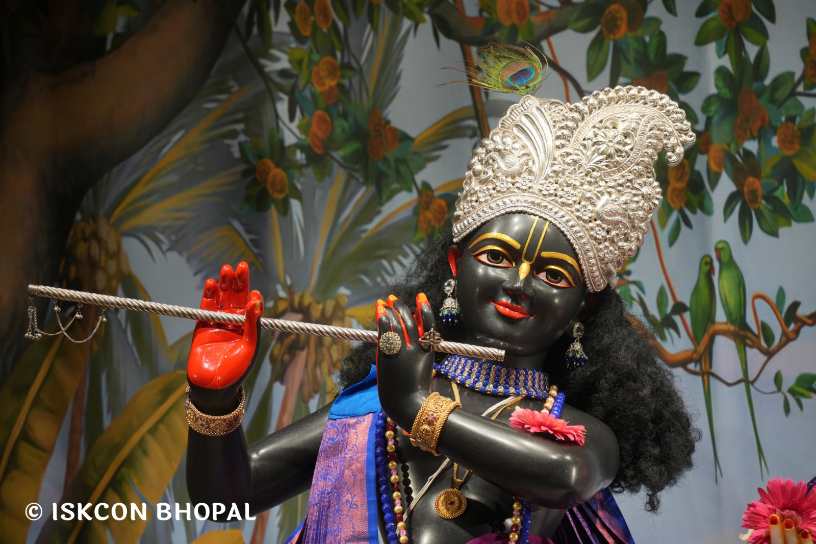 WhatsApp Image 2026-04-15 at 08.00.31