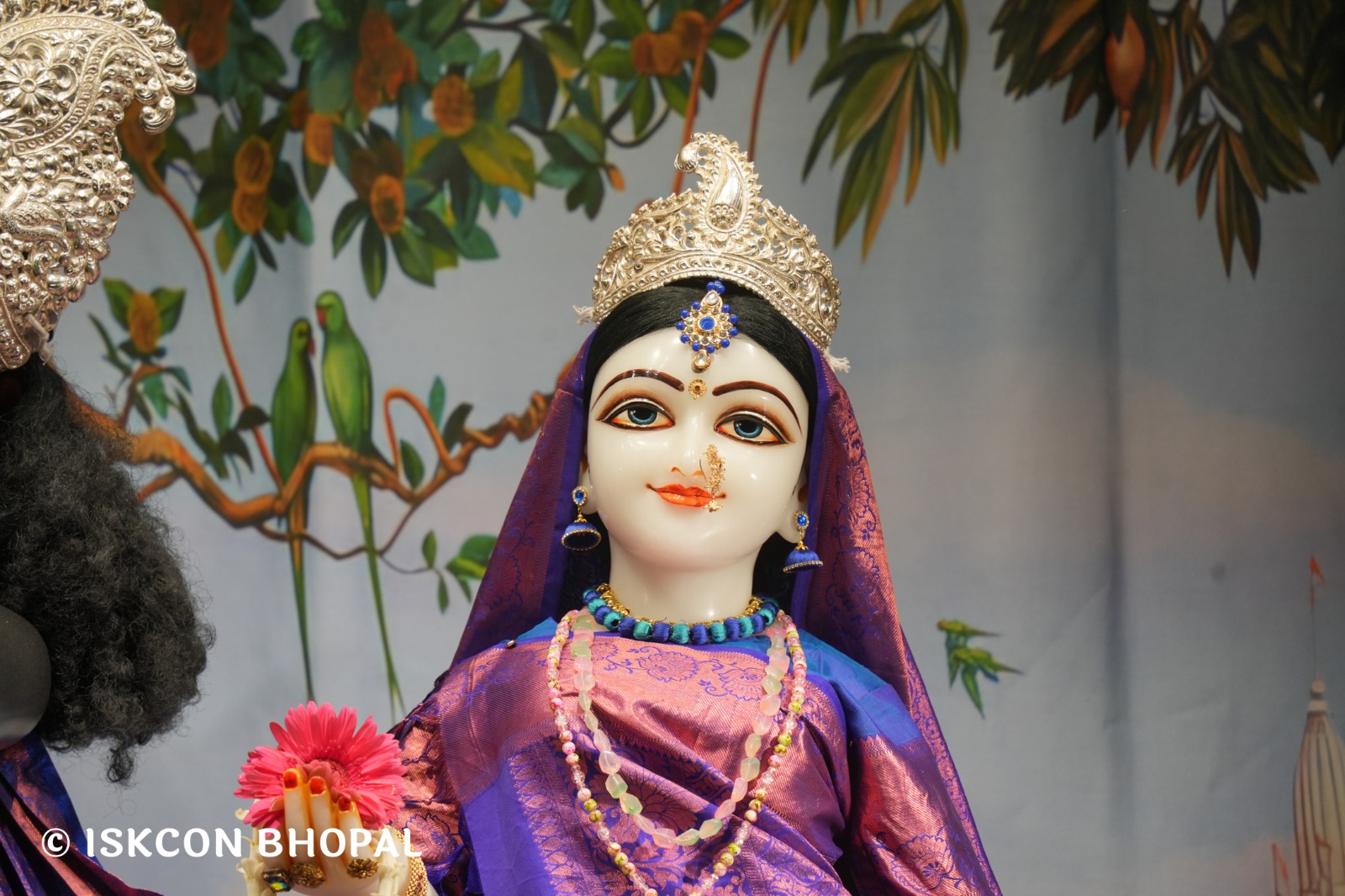 WhatsApp Image 2026-04-15 at 08.00.33