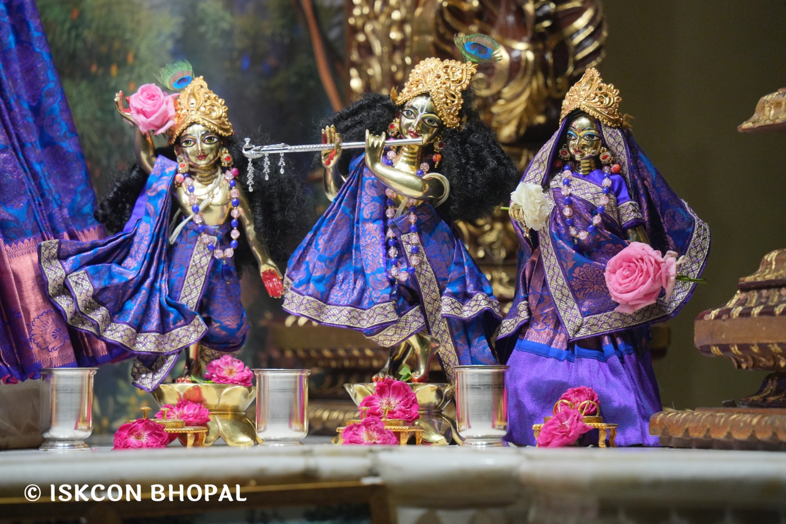 WhatsApp Image 2026-04-15 at 08.00.34